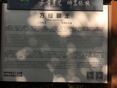 -张坝桂圆林公园