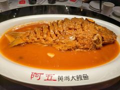-阿五黄河大鲤鱼(英协路店)