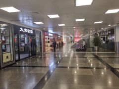 -厦门高崎国际机场-T3航站楼