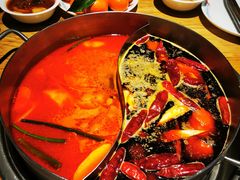 -青瓷火锅料理(西单大悦城店)