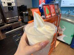 -萨朗刀克冰淇淋雪花凉(植物园店)