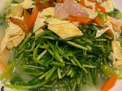 樱花虾豆苗-周家二小姐的菜(西津渡店)