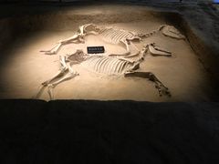 -洛阳周王城天子驾六博物馆