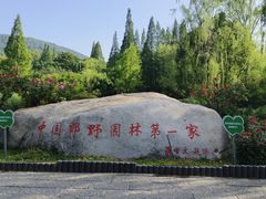 -习家池