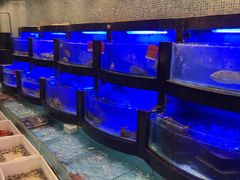 -御同亨酒楼·喜宴