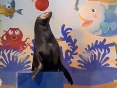 -太平洋海底世界