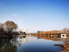 -大兴滨河森林公园