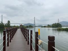 -芒洲湿地公园
