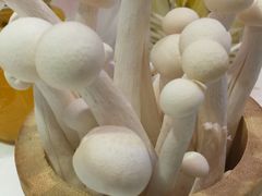 -蕃茄述·好汤自然来(江汉路店)