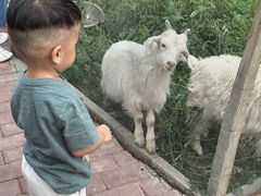 -水上乐园·欢乐世界