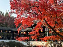 -惠山古镇·寄畅园