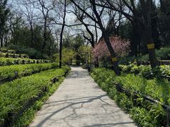 -长辛店二七公园