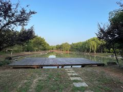 -盐官日光域房车营地·有盐餐厅