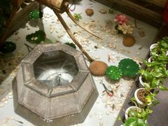 -松针蔡记蒸饺(花园路店)