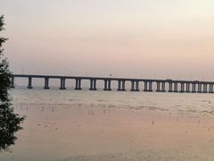 -宝安西湾红树林湿地公园