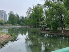 -白塘生态植物园