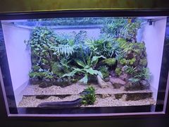 -上海海洋水族馆