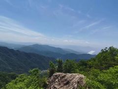 -王顺山国家森林公园
