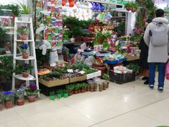 -无锡文化工艺品市场(槐古路店)