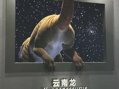 -天津自然博物馆