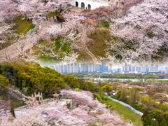 -苏州上方山国家森林公园
