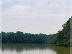 -大湾区中央湿地公园