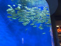 -成都浩海立方海洋公园