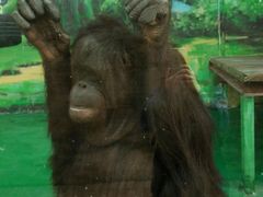 -泉州海丝野生动物世界