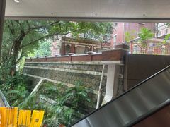 -香港大学