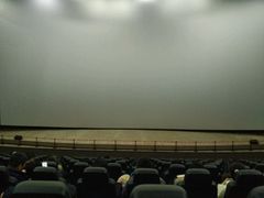 -天幕新彩云国际影城(激光巨幕店)