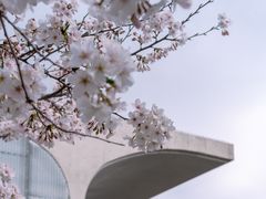 -龙美术馆(西岸馆)