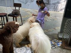 -more than meow吴止猫主题餐厅(承德 中船汇店)