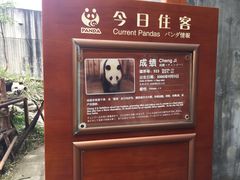 -成都大熊猫繁育研究基地