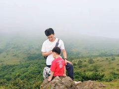 -大姆山草场