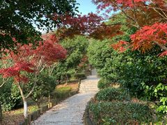 -九龙潭景区
