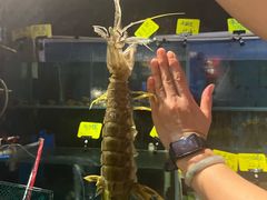 -辉记炭烧海鲜大排档·老字号(福田店)