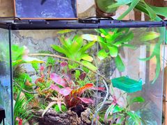 -Rabbit Cafe私房西餐甜点咖啡(栖霞路店)