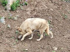 -石家庄市动物园