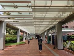 -香港大学