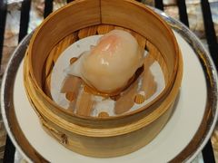 -广州富力君悦大酒店空中花园