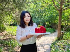 -维尔纳斯·生日蛋糕·动物奶油冰淇淋蛋糕(六里桥店)