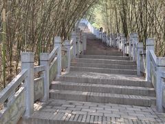 -竹林寺