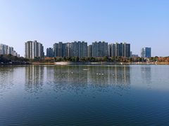 -南翔镇银翔湖公园