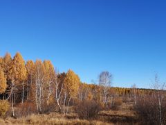 -塞罕坝国家级自然保护区