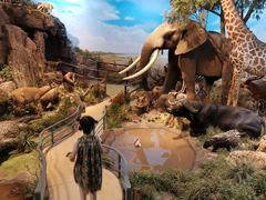 -陕西自然博物馆