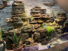 -会宾园·云山宴中餐