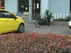-琥珀川咖啡馆·Amber cafe(百祥路店)