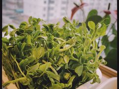 -海底捞火锅(公益西桥店)