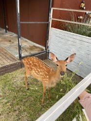 -小蜜蜂农场(凯德七宝购物广场店)