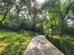 -元大都城垣遗址公园